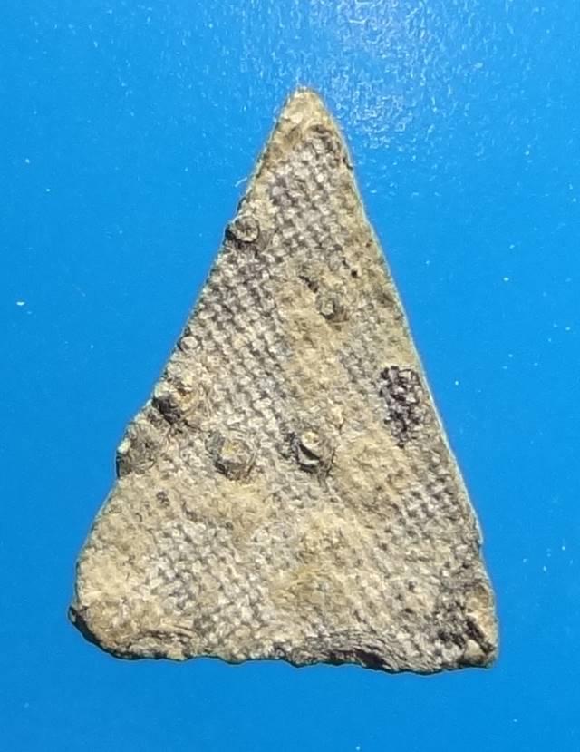 พระพิจิตรข้างเม็ด