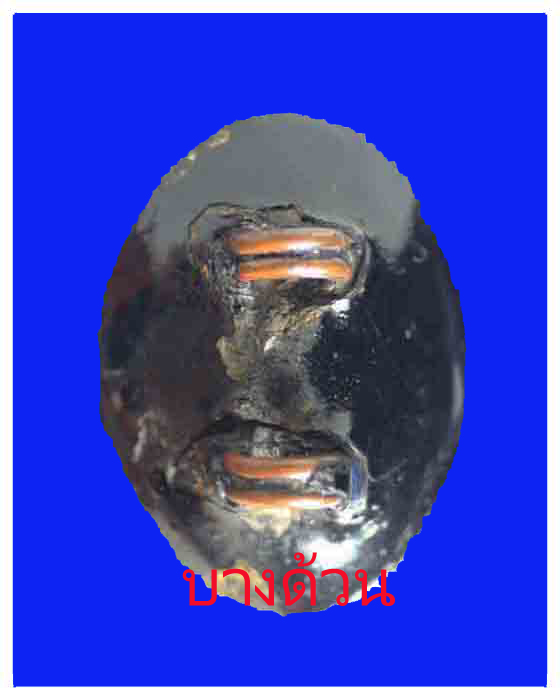 เบี้ยแก้หลวงปู่เจือวัดกลางบางแก้วลงรักปิดทองสวย