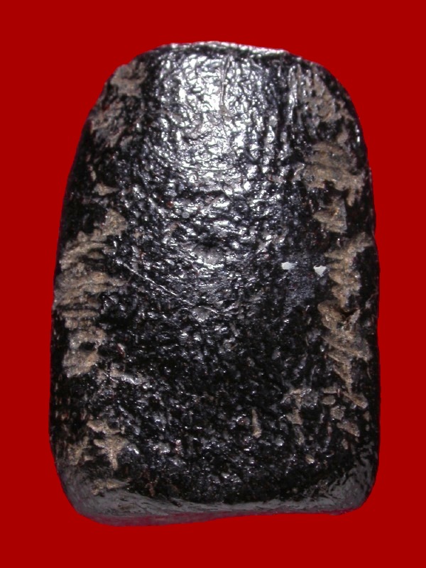 หลวงปู่บุญ วัดกลางบางแก้ว พิมพ์สะดุ้งกลับ ฐานตาราง  เนื้อผงยาจินดามณี