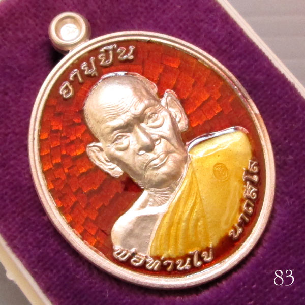 เหรียญอายุยืน 8 รอบ พ่อท่านไข่ วัดลำนาว 