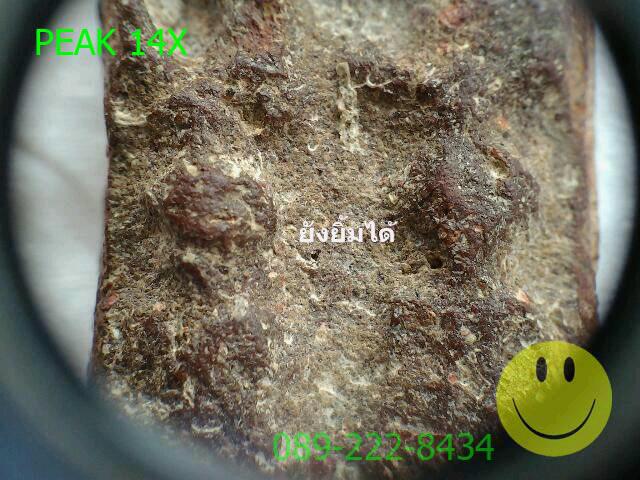 กล้องส่องพระ PEAK 14X (MADE IN JAPAN) สินค้าลิขสิทธิ์แท้จากญี่ปุ่น เคาะเดียวแดงส่งEMSให้เลย