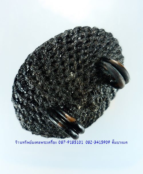 เบี้ยแก้ หลวงปู่เจือ วัดกลางบางแก้ว จ.นครปฐม