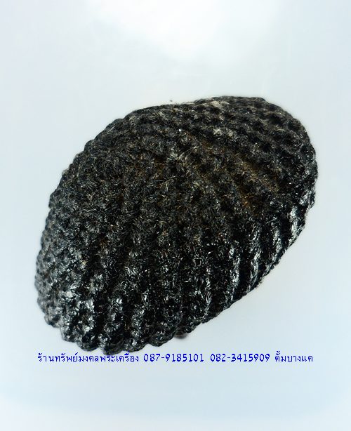 เบี้ยแก้ หลวงปู่เจือ วัดกลางบางแก้ว จ.นครปฐม