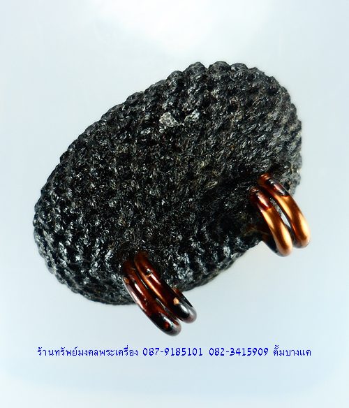 เบี้ยแก้ หลวงปู่เจือ วัดกลางบางแก้ว จ.นครปฐม