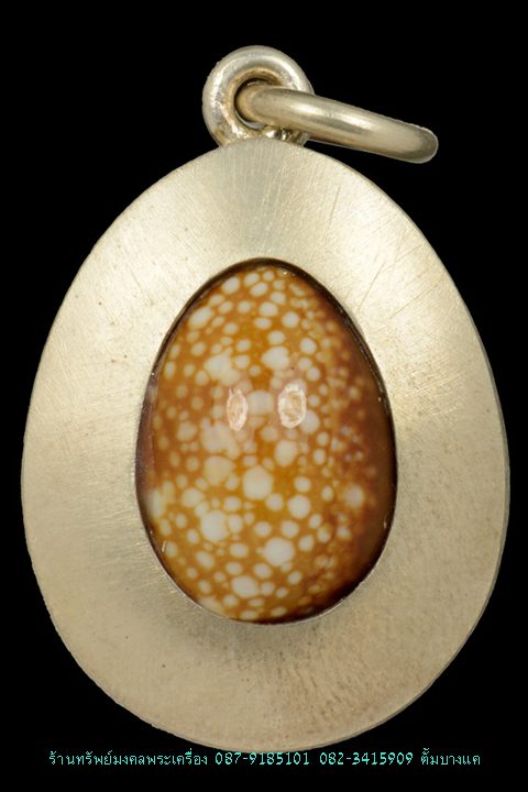 เบี้ยแก้หุ้มเงิน รุ่นแรก หลวงปู่เจือ วัดกลางบางแก้ว 