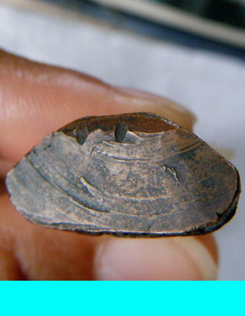 รูปหล่อรุ่นแรก หลวงพ่อศิริ วัดตาล จ.นนทบุรี