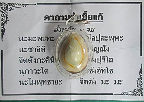 เบี้ยแก้ ฝังปรกหนุมาน มีจาร หลวงปู่หมุน ปลุกเสก ออกวัดซับลำใย