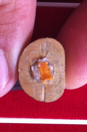 รูปหล่อ มหาลาภ ลป. คำบุ คุตตจิตโต ตชด. สร้างถวายครับ