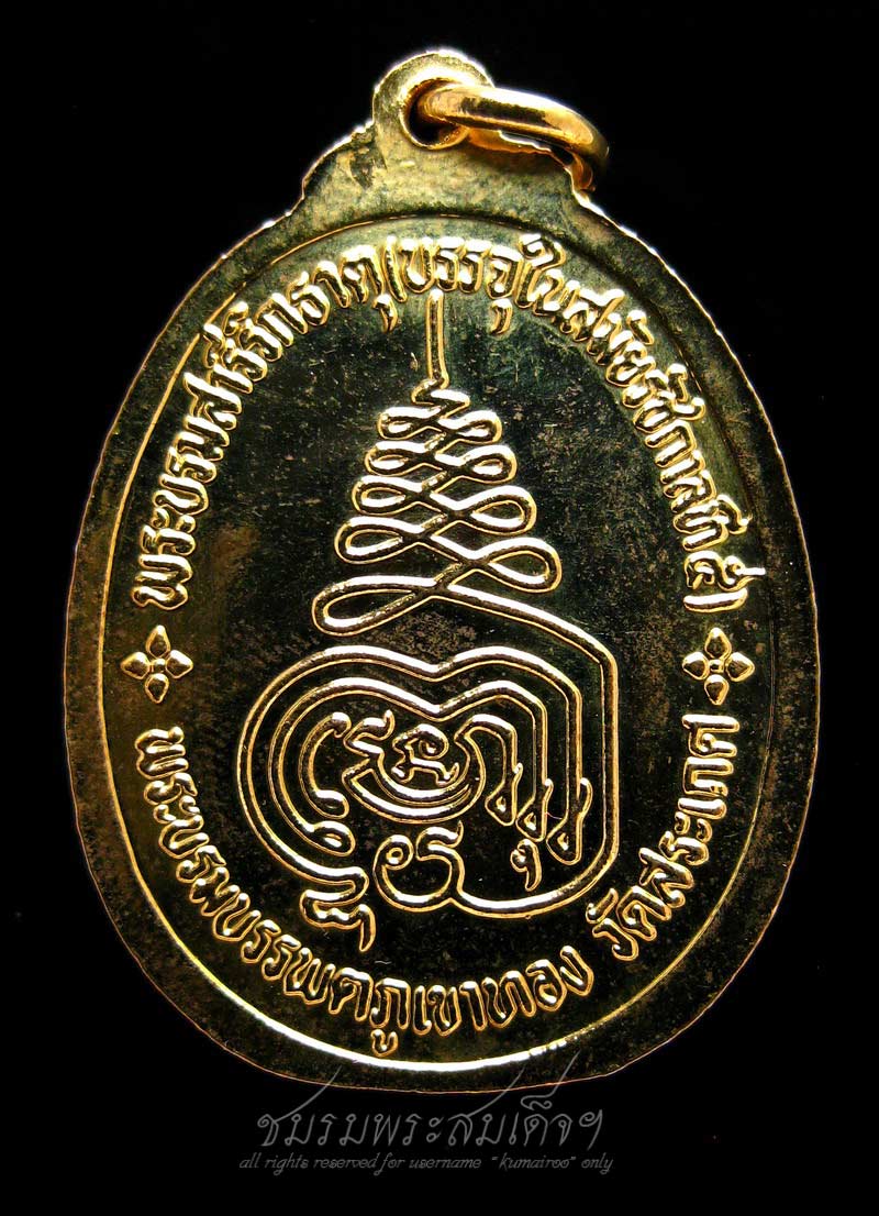 เหรียญภูเขาทอง วัดสะเกศ (253)