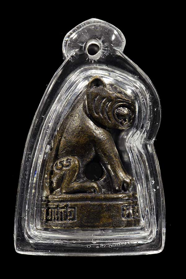 เสือหลวงปู่เจือ วัดกลางบางแก้ว 