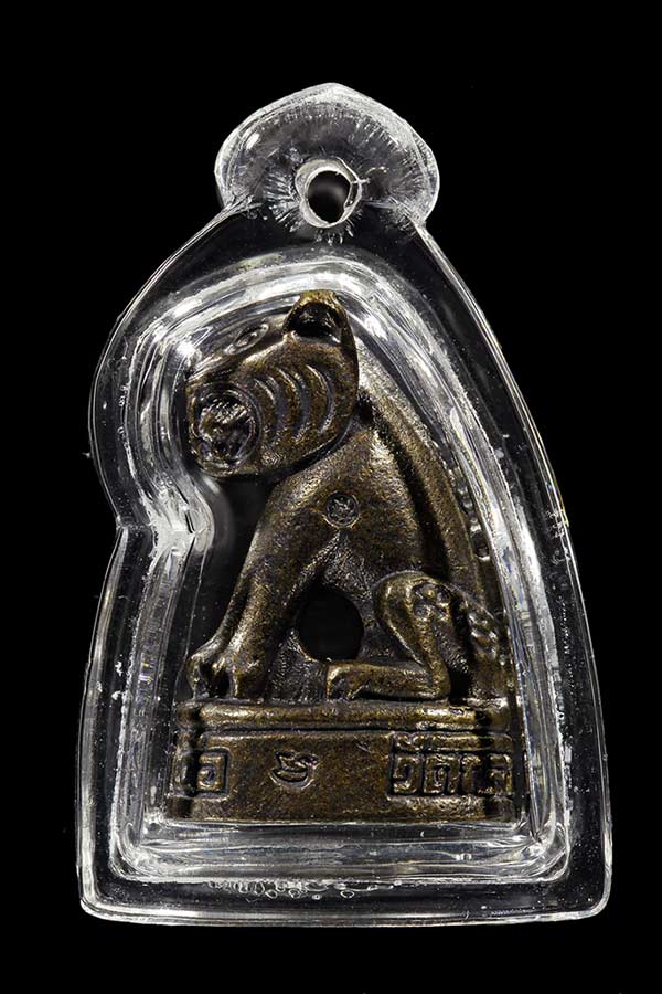 เสือหลวงปู่เจือ วัดกลางบางแก้ว 