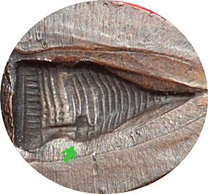 ****พระร่วงหลัง รางปืน วัดพระธาตุดอยสุเทพ จ.เชียงใหม่ ปี 15 พิมพ์บล็อกเจดีย์จม สะดือเสี้ยว