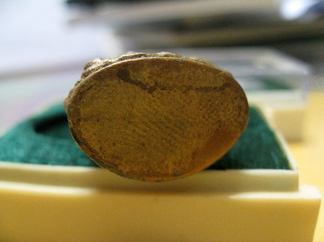 หลวงพ่อแถม วัดช้างแทงกระจาด กริ่งสร้างโบสถ์ ครบชุด