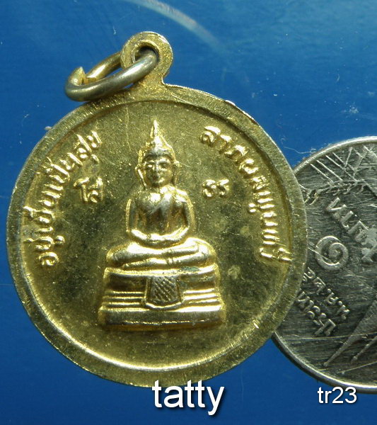 20 เหรียญ ร.5 หลังหลวงพ่อโสธร 