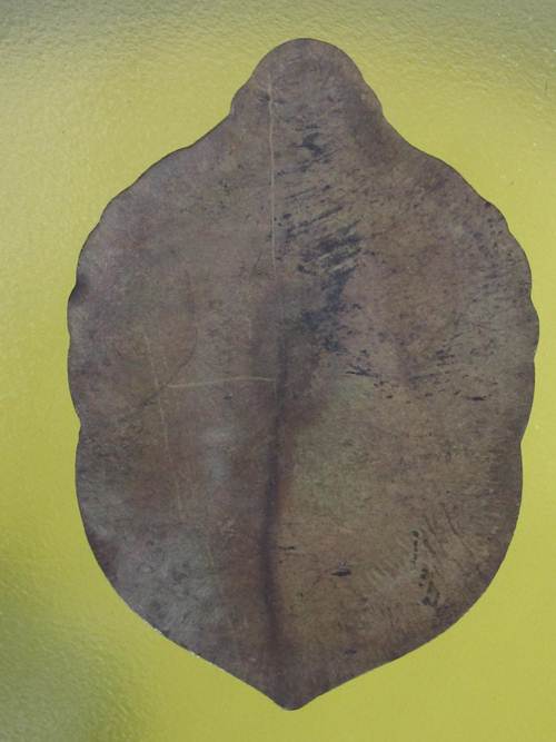 เหรียญ จันทร์เพ็ญเงินล้าน หลวงปู่เจือ หลังเรียบ ...# 356