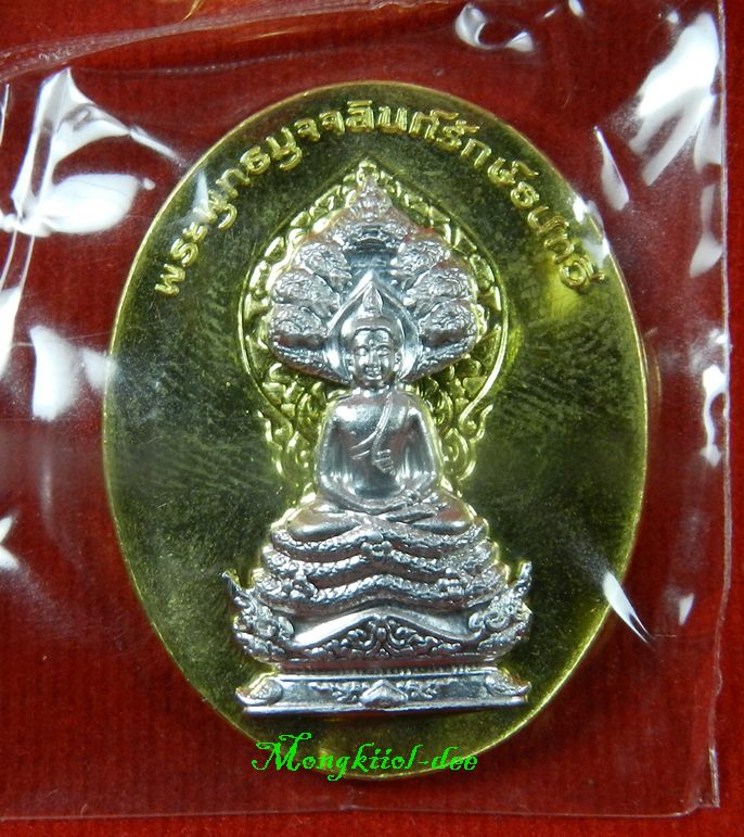 	เหรียญพระพุทธมุจจลินท์ (พระนาคปรก) รุ่นมุจจลินท์มหาโภคทรัพย์  เนื้อทองระฆังหน้าอัลปาก้า#1187