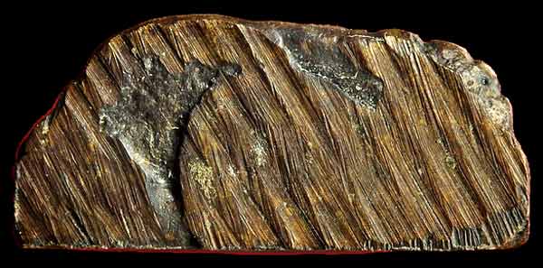 *พุทธกวัก..ท่านเจ้าคุณศรีฯ(สนธิ์) วัดสุทัศน์ฯ*