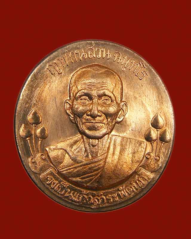 เหรียญหลวงปู่สวน ฉนทโร รุ่นประทานพร 2549