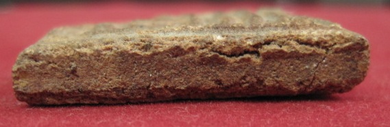 พระพิมพ์สมเด็จ เนื้อว่านสบู่เลือด หลวงพ่อเงิน วัดดอนยายหอม