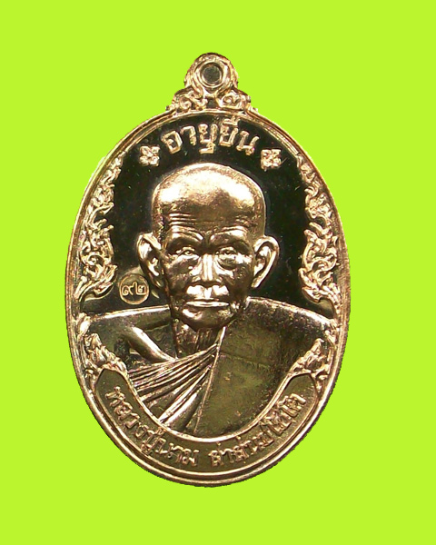 เหรียญอายุยืนหลวงปู่นาม วัดน้อยชมภู่