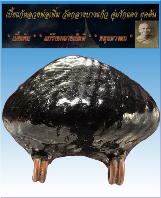 เบี้ยแก้หลวงปู่เพิ่มวัดกลางบางแก้วยุคต้นหล่อขั้นเทพสวยสมบูรณ์