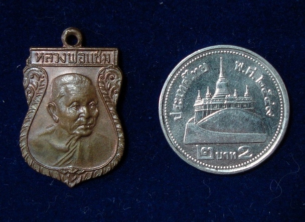 เหรียญหันข้าง หลวงพ่อแช่ม วัดดอนยายหอม (เล็ก) เคาะเดียวแดง