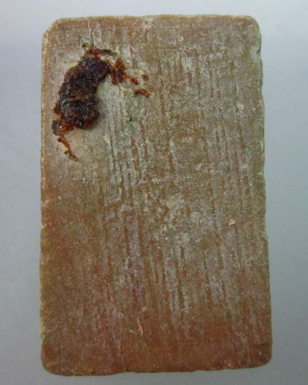 พระสมเด็จเนื้อผงน้ำมันไม่ทราบที่ครับ