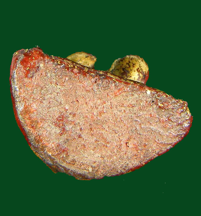 กรุวัดเชิงท่า ปากเกร็ด จ.นนทบุรี