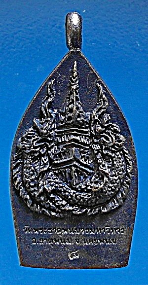 สุดยอด เหรียญแห่ง โชค วาสนา บารมี เหรียญเจ้าสัวธาตุพนมเงินมา รุ่นแรก ปี 56 ทองแดงรมดำ (เคาะเดียว)