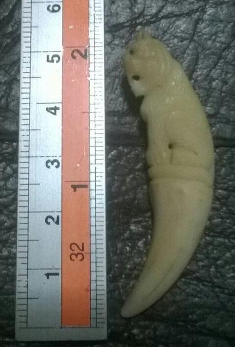 เขี้ยวเสือ หลวงพ่อเปิ่น วัดบางพระ 