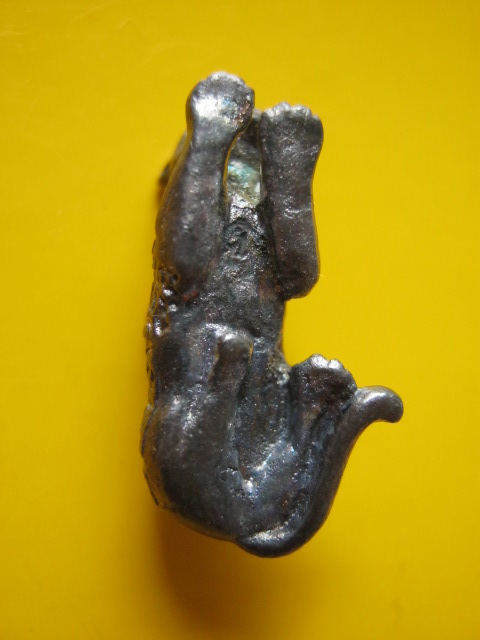 เสือ เนื้อนวะ ล.พ เปิ่น 