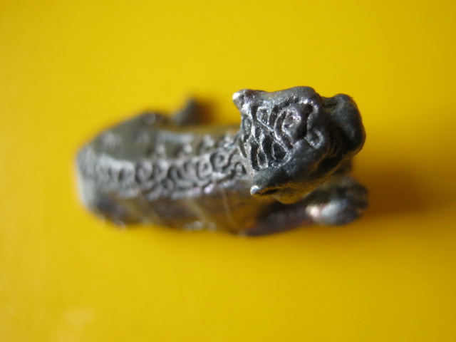 เสือ เนื้อนวะ ล.พ เปิ่น 