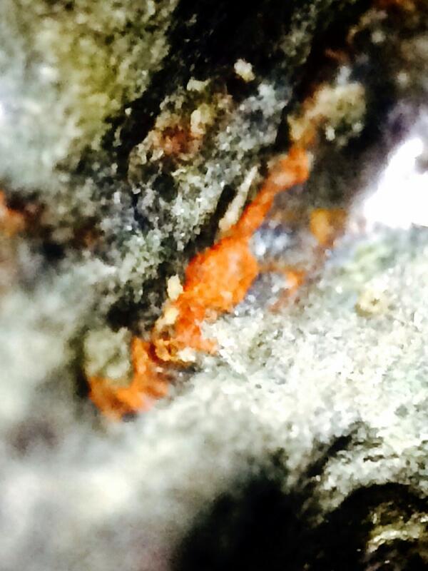 พระนาคปรก ตะกั่วสนิมแดง ลพบุรี