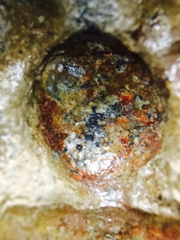 หลวงพ่อเนียม  พิมพ์พระคลองตะเคียน 