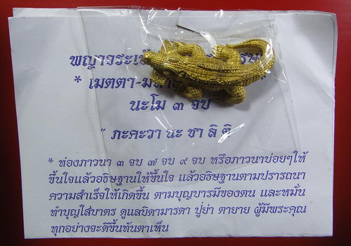 จระเข้จักรพรรดิเศรษฐี มหาลาภ แช่น้ำมันว่านศักดิ์สิทธิ์ วัดเขากะโหลก