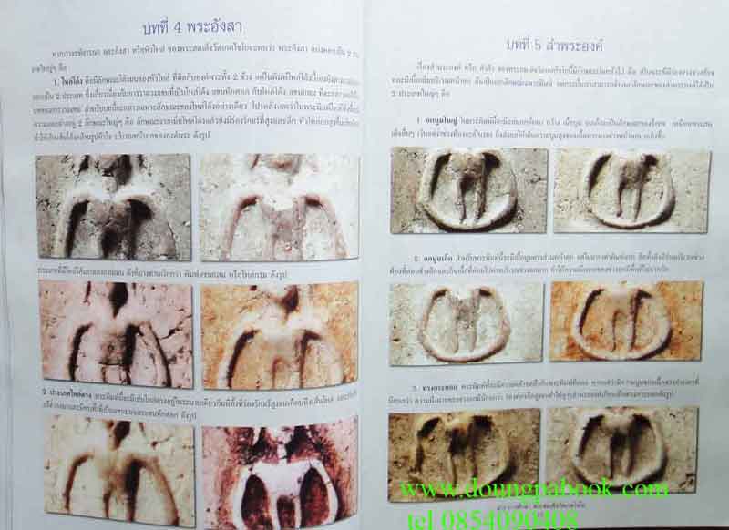 ตำราการศึกษาพระสมเด็จวัดเกศไชโย 