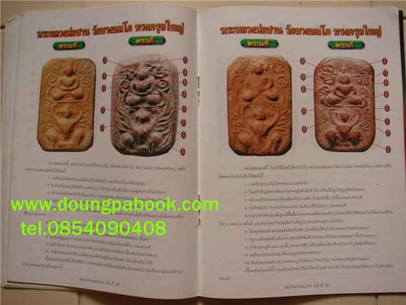 หนังสือชุดรู้เท่าทัน พระเครื่องหลวงพ่อปาน วัดบางนมโค 