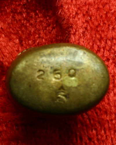 เสือล้มลุก เนื้อสตางค์ หลวงพ่อเปิ่น วัดบางพระ จังหวัดนครปฐม รุ่น แซยิด 76 ปี พ.ศ. 2541 ครับ