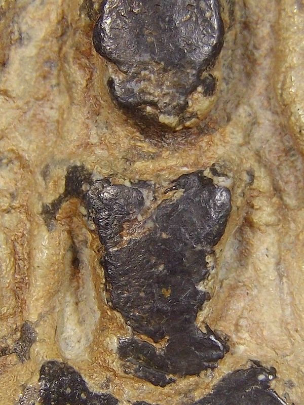 พระยอดขุนพล สนิมแดง กรุปราสาทเมืองสิงห์ จ.กาญจนบุรี