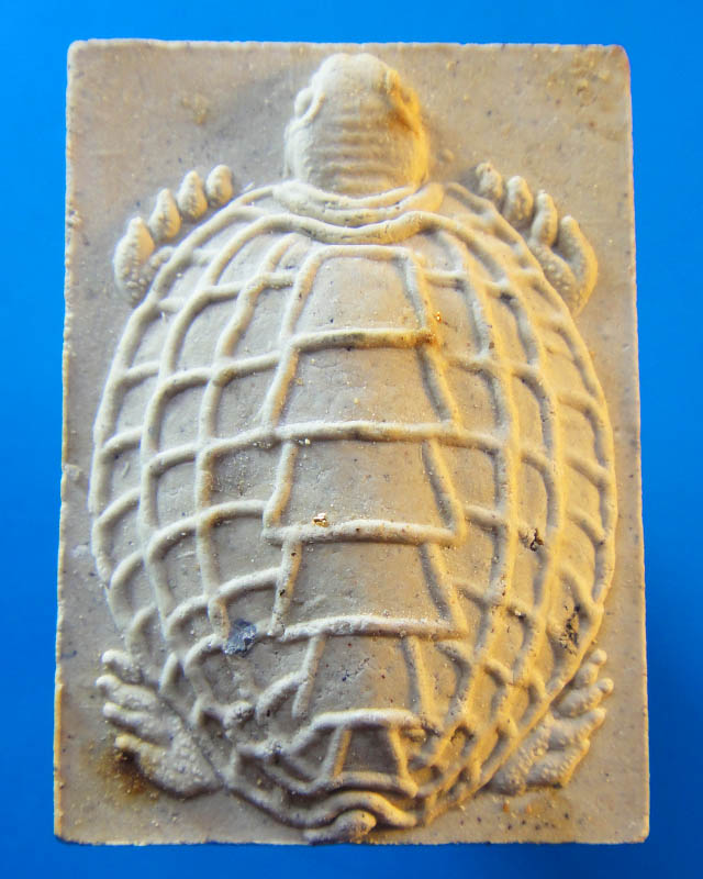 เต่า หลวงพ่ออุ้น วัดตาลกง เพชรบุรี