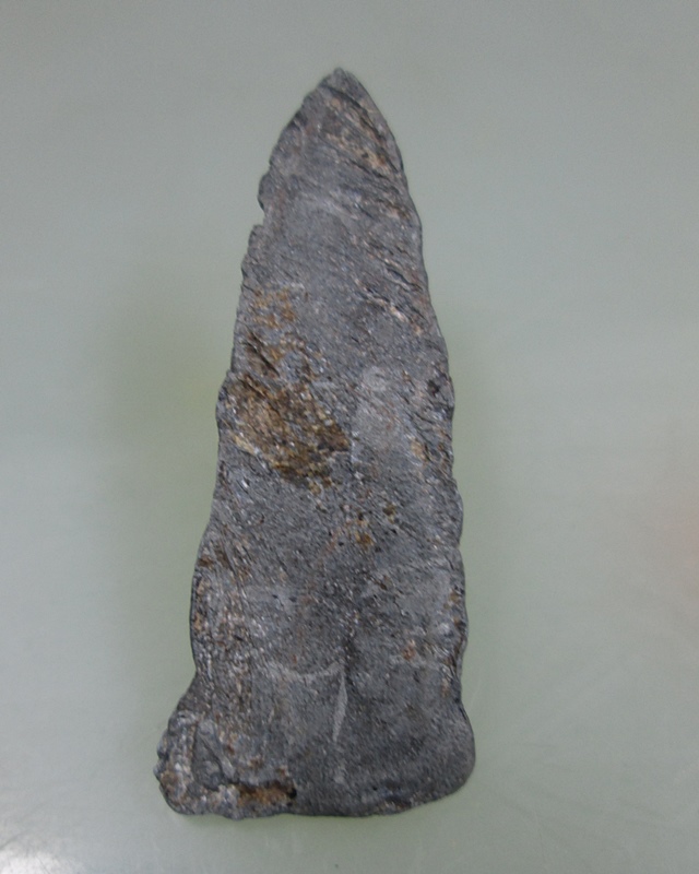 เนื้อชินไม่ทาบที่