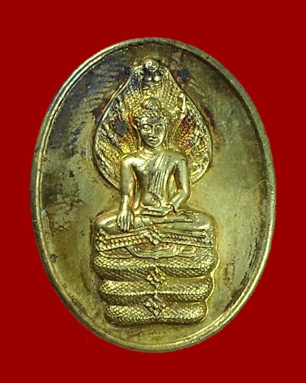 เหรียญปางนาคปรก หลวงพ่อแพ วัดพิกุลทอง