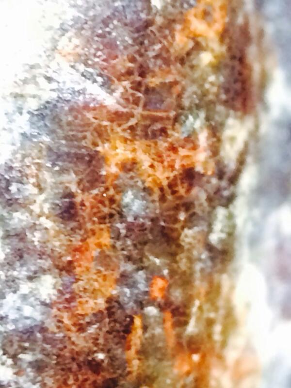 พระร่วง หลังรางปืน สนิมแดง