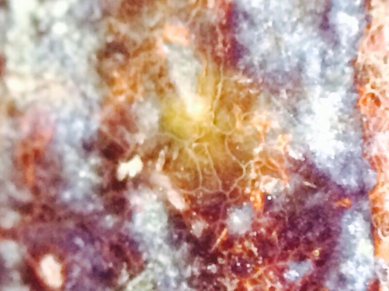 พระร่วง หลังรางปืน สนิมแดง