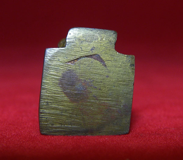 สมเด็จพระเจ้าตากสินมหาราช ปี 95 