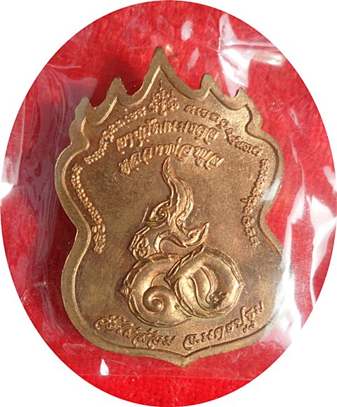 เหรียญ 9 ยอด หลวงพ่อพูล วัดไผ่ล้อม จ.นครปฐม เนื้อทองแดง ตอกโค๊ต 