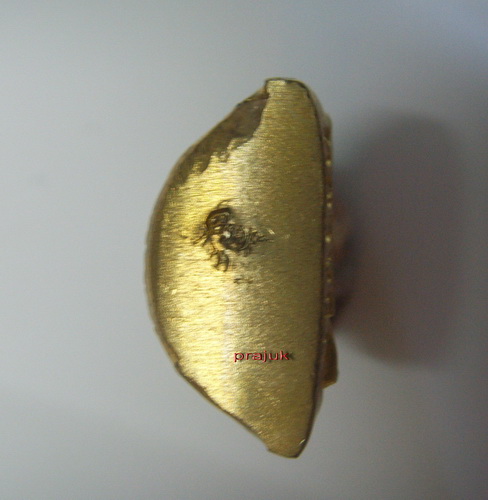 รูปเหมือนปั๊ม  รุ่น 2 หลวงปู่นะ วัดหนองบัวชัยนาท