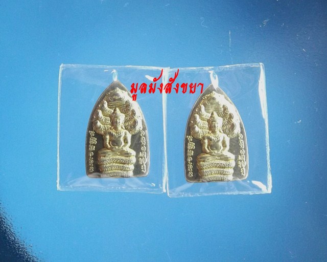 พระนาคปรกหลวงปู่ผ่าน รุ่นผ่านตลอดปลอดภัย