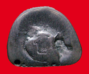 พระสังขจายณ์หลวงปู่หงษ์