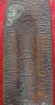 พระร่วงยืนหลังรางปืน(ร่องใหญ่นิยม)วัดพระสิงห์ ปี๑๒ พระบาทสมเด็จพระเจ้าอยู่หัวทรงเสด็จวันพุทธาภิเษก